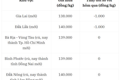 <a href="/thong-tin-thi-truong" title="Thông tin thị trường" rel="dofollow">Thông tin thị trường</a>