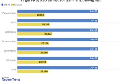 <a href="/vang-tien-te" title="Vàng - Tiền tệ" rel="dofollow">Vàng tiền tệ</a>