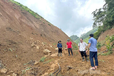 <a href="/trai-dat-xanh" title="Trái đất xanh" rel="dofollow">Trái đất xanh</a>