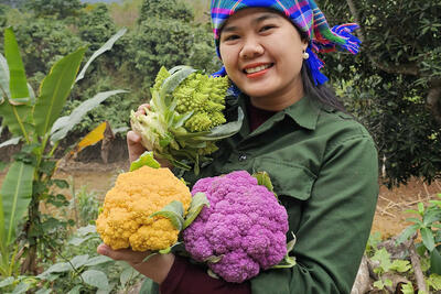<a href="/kinh-doanh-online" title="Kinh doanh online" rel="dofollow">Kinh doanh online</a>