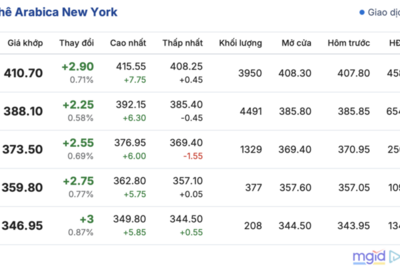 <a href="/thong-tin-thi-truong" title="Thông tin thị trường" rel="dofollow">Thông tin thị trường</a>