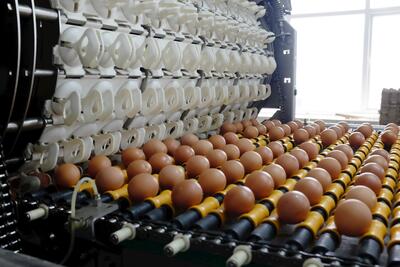 <a href="/tin-doanh-nghiep" title="Tin doanh nghiệp" rel="dofollow">Tin doanh nghiệp</a>