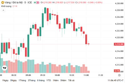 <a href="/vang-tien-te" title="Vàng - Tiền tệ" rel="dofollow">Vàng tiền tệ</a>