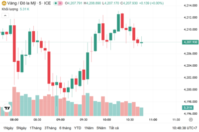 <a href="/vang-tien-te" title="Vàng - Tiền tệ" rel="dofollow">Vàng tiền tệ</a>