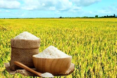 <a href="/thong-tin-thi-truong" title="Thông tin thị trường" rel="dofollow">Thông tin thị trường</a>