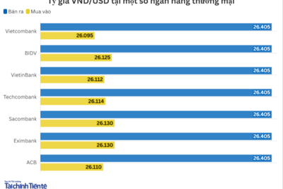 <a href="/vang-tien-te" title="Vàng - Tiền tệ" rel="dofollow">Vàng tiền tệ</a>