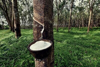 <a href="/thong-tin-thi-truong" title="Thông tin thị trường" rel="dofollow">Thông tin thị trường</a>