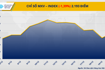 <a href="/thong-tin-thi-truong" title="Thông tin thị trường" rel="dofollow">Thông tin thị trường</a>