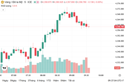 <a href="/vang-tien-te" title="Vàng - Tiền tệ" rel="dofollow">Vàng tiền tệ</a>