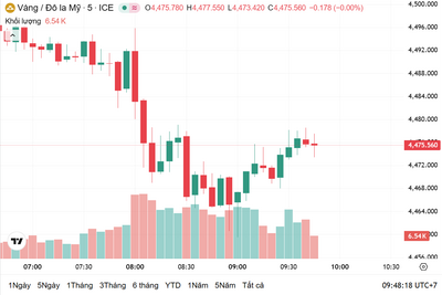 <a href="/vang-tien-te" title="Vàng - Tiền tệ" rel="dofollow">Vàng tiền tệ</a>