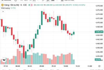 <a href="/vang-tien-te" title="Vàng - Tiền tệ" rel="dofollow">Vàng tiền tệ</a>