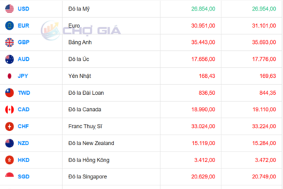 <a href="/vang-tien-te" title="Vàng - Tiền tệ" rel="dofollow">Vàng tiền tệ</a>