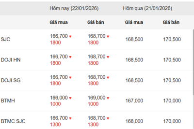 <a href="/vang-tien-te" title="Vàng - Tiền tệ" rel="dofollow">Vàng tiền tệ</a>