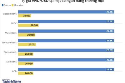 <a href="/vang-tien-te" title="Vàng - Tiền tệ" rel="dofollow">Vàng tiền tệ</a>