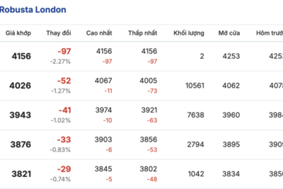 <a href="/thong-tin-thi-truong" title="Thông tin thị trường" rel="dofollow">Thông tin thị trường</a>