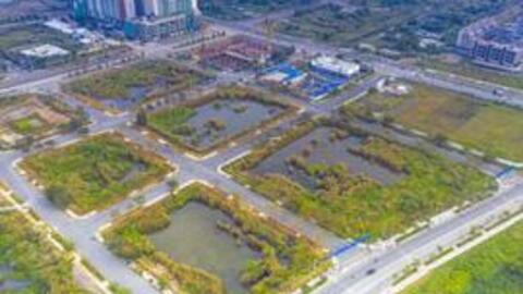 Sắp có báo cáo thị trường bất động sản liên quan đấu giá đất Thủ Thiêm