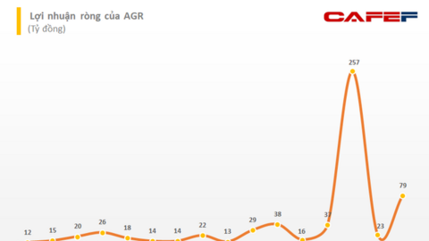 Chứng khoán Agribank (AGR): Lãi ròng quý 4 tăng gấp 5 lần cùng kỳ, LNST cả năm 2021 xấp xỉ 400 tỷ đồng, vượt 23% kế hoạch
