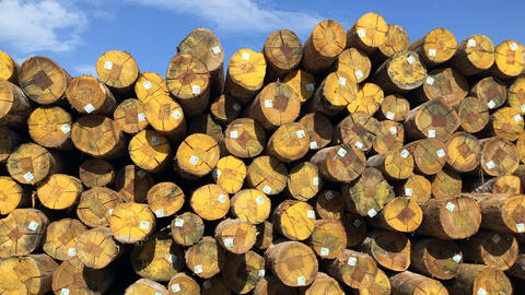 Mặt hàng xuất khẩu chủ lực top 6 của Việt Nam được Ấn Độ liên tục đổ tiền mua: Mỹ, Trung Quốc đều ưa chuộng, bỏ túi hơn 2 tỷ USD trong 2 tháng