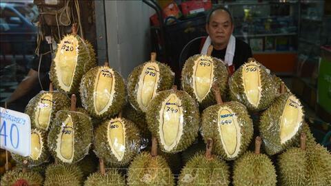 Thái Lan dự kiến xuất khẩu 1 triệu tấn sầu riêng trong năm nay