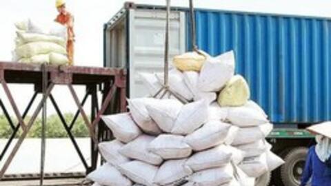 Việt Nam là đối tác xuất khẩu gạo lớn nhất của Philippines