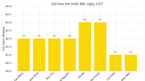 Giá heo hơi hôm nay ngày 23/7/2025: Tiếp đà lao dốc