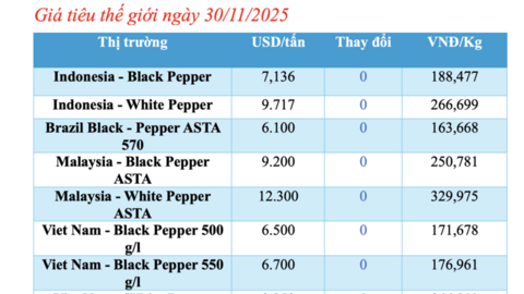 Giá tiêu hôm nay 30/11/2025: Neo cao
