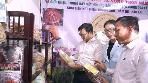 Đà Nẵng dự kiến mở hơn 14 điểm bán thịt bình ổn giá dịp Tết