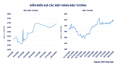 Đồng bạc xanh suy yếu, dòng tiền quay lại thị trường kim loại quý