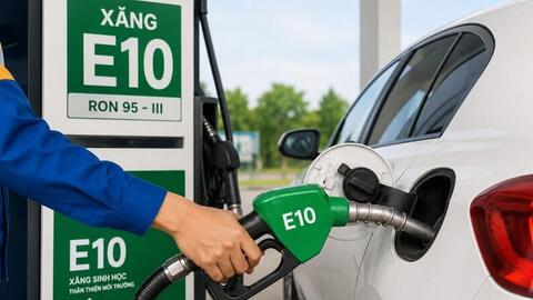 Từ 1/6/2026: Xăng E10 chính thức được phân phối rộng rãi trên toàn quốc
