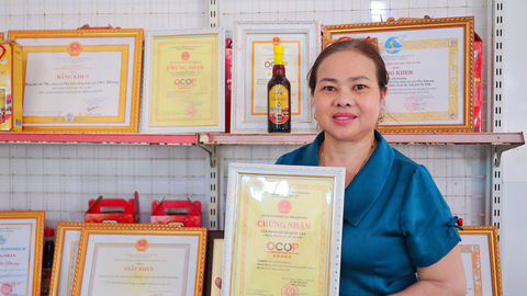 Đưa nước mắm làng biển đến thương hiệu OCOP 5 sao quốc gia