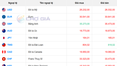 Tỷ giá USD ngày 3/6/2026: Giữ nhịp ổn định trong biên độ hẹp