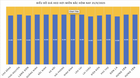 Giá heo hơi hôm nay 25/9/2025: Giảm mạnh tại miền Trung và miền Nam