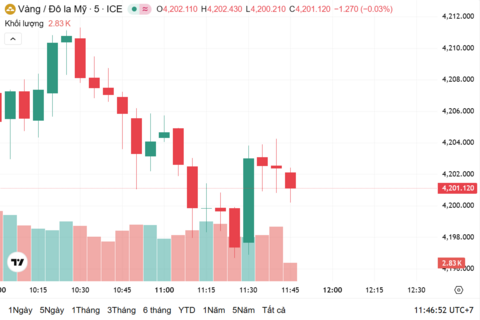 Ngày 14/11: Giá vàng trong nước giảm