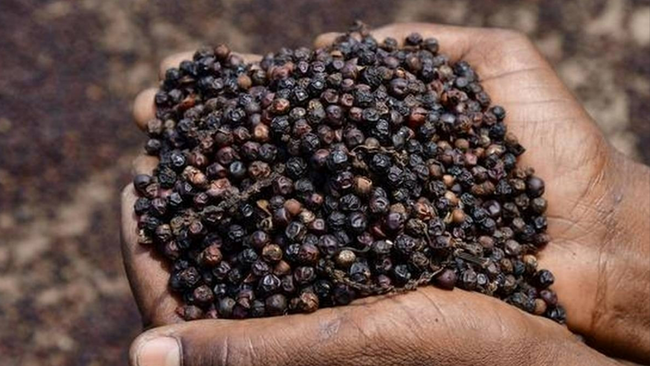 Xuất khẩu nông sản cần chủ động trong 'luật chơi' MRL