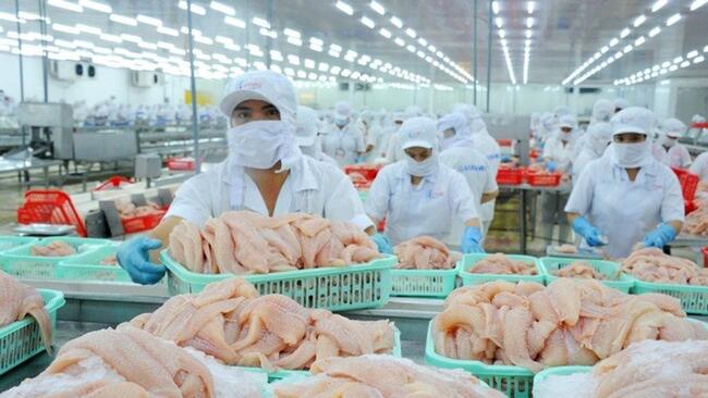 Vốn ngân hàng “dẫn mạch” để tỉnh An Giang và Cà Mau bứt phá tăng trưởng