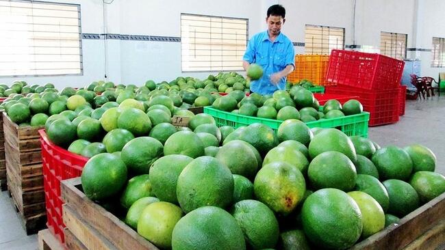 Thương mại Việt Nam - Anh vượt 9,38 tỷ USD, FTA tạo lực đẩy kép