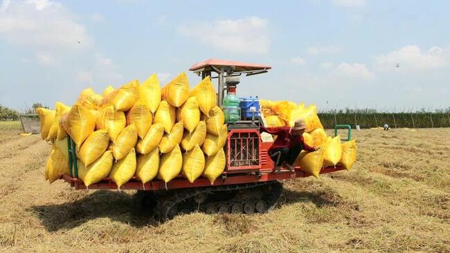 ‏Khi dòng vốn ngân hàng trở thành “chìa khóa” tăng trưởng kinh tế tỉnh An Giang‏‏ ‏