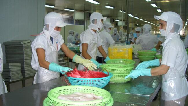 Xuất khẩu thủy sản quý II dự báo tăng nhưng phân hóa theo thị trường