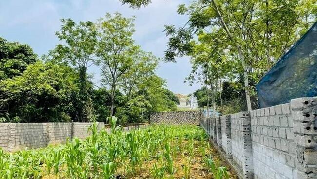 Giá đất nền giảm, chuyên gia khuyến cáo nhà đầu tư cần thận trọng