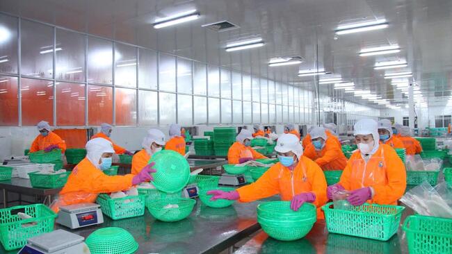 Tín dụng tăng tốc cùng nhịp phục hồi kinh tế tại TP. Cần Thơ và tỉnh Vĩnh Long