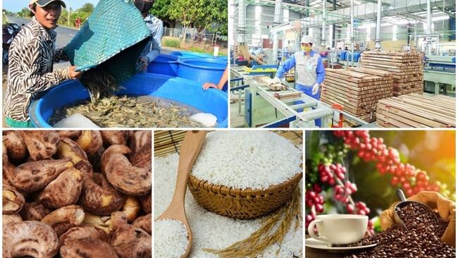 CEO VIETGO: Xuất nhập khẩu có thể vượt mốc 1.000 tỷ USD