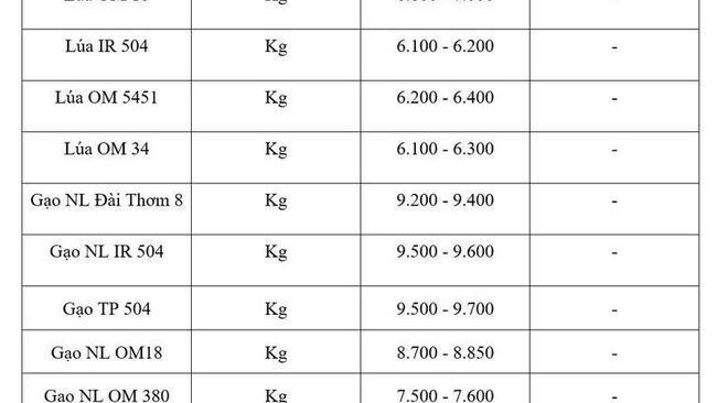 Giá lúa gạo hôm nay ngày 23/7: Gạo thơm Jasmine tăng 1.000 đồng/kg