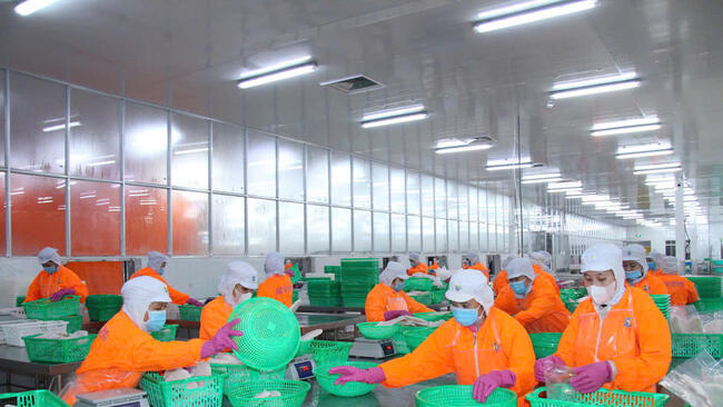 Khơi thông tín dụng, phát huy tiềm năng kinh tế tỉnh Tây Ninh