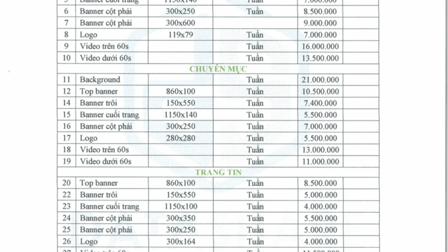 Báo giá website năm 2019
