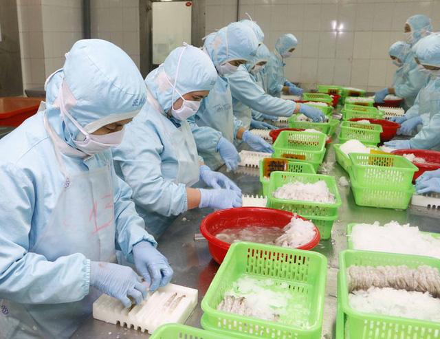 Thiếu vỏ container ảnh hưởng xấu đến việc xuất khẩu tôm - Ảnh 2. Thiếu vỏ container ảnh hưởng xấu đến việc xuất khẩu tôm - Ảnh 2.