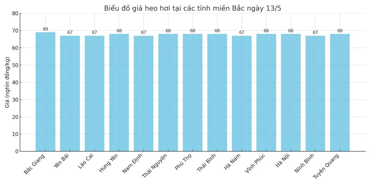 Biểu đồ giá heo hơi tại các tỉnh miền Bắc ngày 13/5. Biểu đồ giá heo hơi tại các tỉnh miền Bắc ngày 13/5.