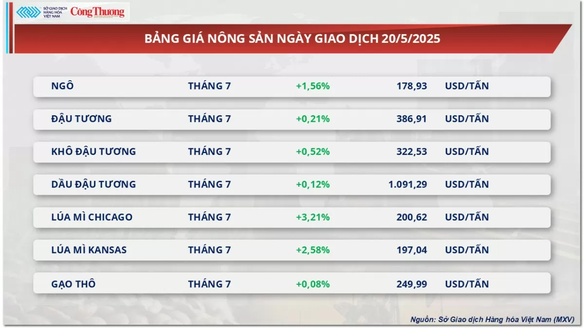 Giá ngô tăng mạnh hơn 1,5% lên 178 USD/tấn Giá ngô tăng mạnh hơn 1,5% lên 178 USD/tấn