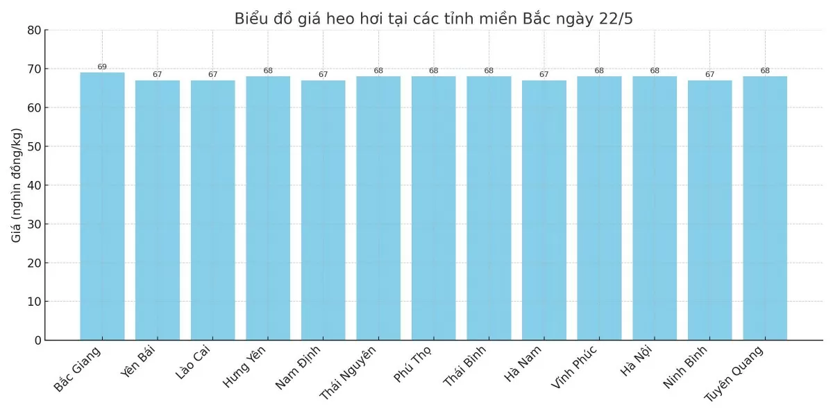 Biểu đồ giá heo hơi tại các tỉnh miền Bắc ngày 22/5. Biểu đồ giá heo hơi tại các tỉnh miền Bắc ngày 22/5.