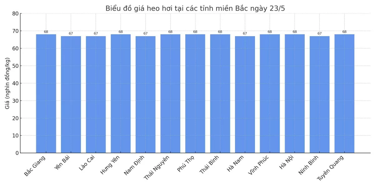 Biểu đồ giá heo hơi tại các tỉnh miền Bắc ngày 23/5. Biểu đồ giá heo hơi tại các tỉnh miền Bắc ngày 23/5.