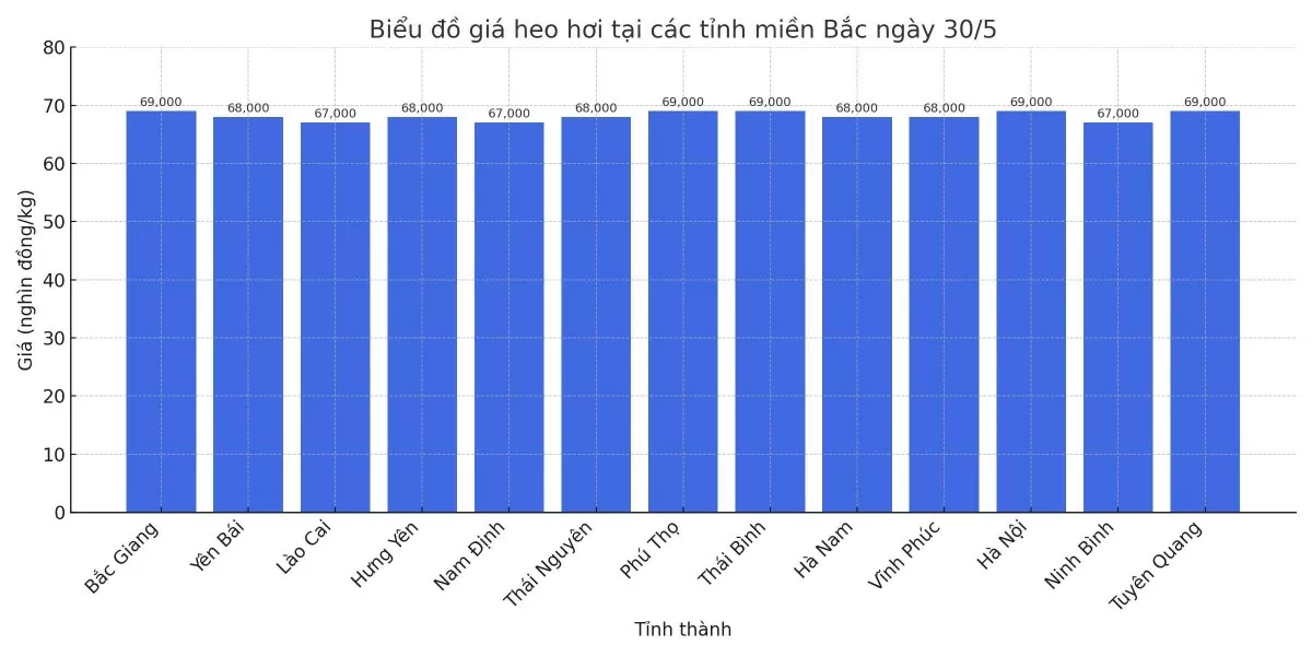 Biểu đồ giá heo hơi tại các tỉnh miền Bắc ngày 30/5. Biểu đồ giá heo hơi tại các tỉnh miền Bắc ngày 30/5.